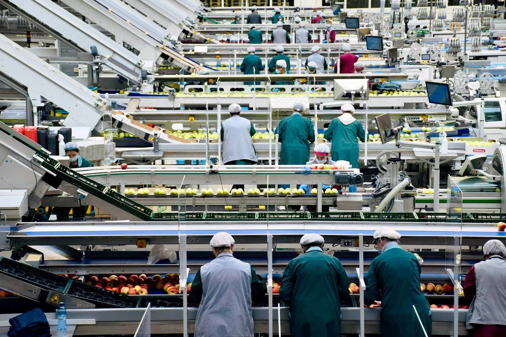 Trazabilidad Alimentaria